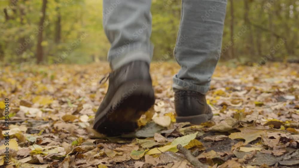 Close-up of a male legs in blue jeans and dark brown boots walking in the autumn forest on yellow leaves. Close-up of a male legs in blue jeans and dark brown boots walking in the autumn forest on yellow leaves.