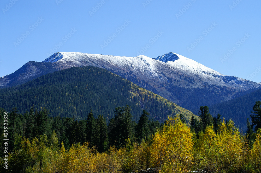 snow mountain in autumn colors