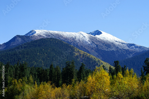 snow mountain in autumn colors
