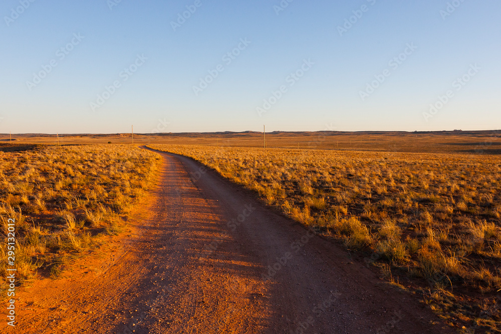 Shash Dine Navajo campsite, AZ, USA. A single dirt track winds towards the horizon though desert scrubland.