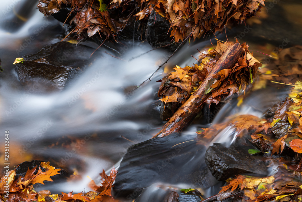River in the forest in autumn, long exposure