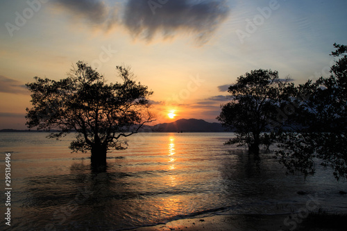 Silhouettes of tree in front of sunset on the beach/ Beautiful sunset on the beach with mountain and sky clouds/