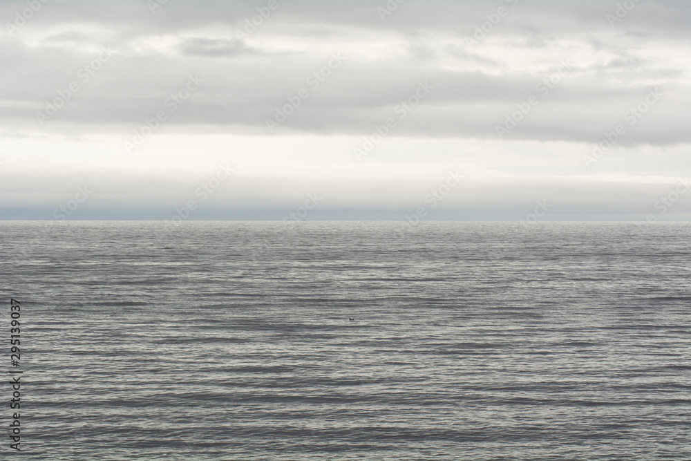 Fototapeta premium ocean and sky grey background