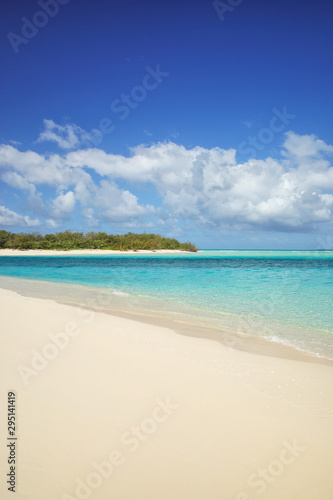 Fototapeta Naklejka Na Ścianę i Meble -  Sandy beach on the shore of Ouvea lagoon, Ouvea Island, Loyalty Islands, New Caledonia