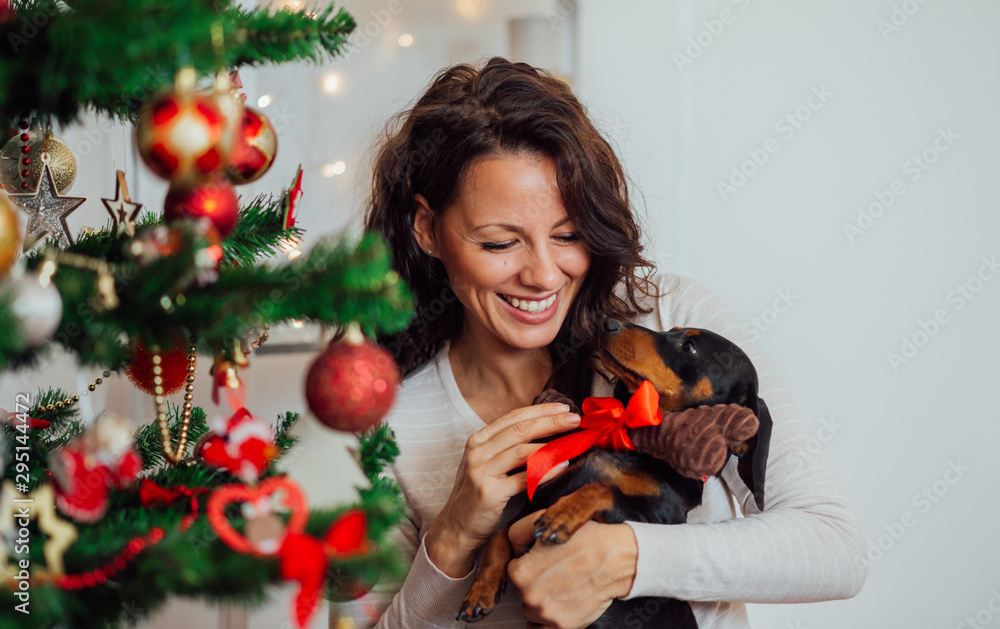 Portrait of a excited woman receiving puppy for Christmas. - obrazy, fototapety, plakaty 