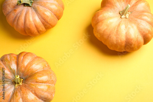 Fresh ripe pumpkins on yellow background, flat lay. Holiday decoration