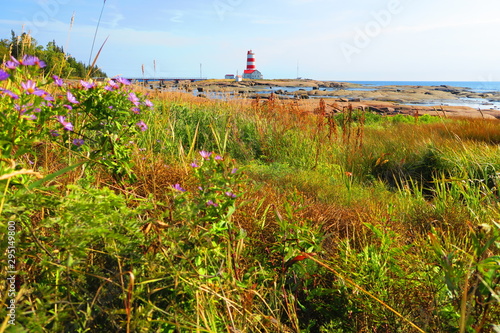 cote nord du saint laurent /canada