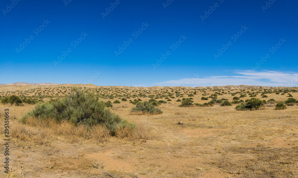 Wide Empty Wilderness in California