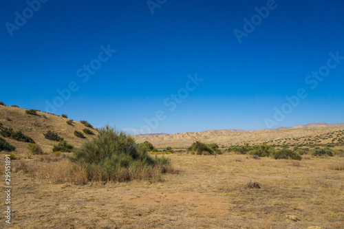 Wide Empty Desert Wilderness