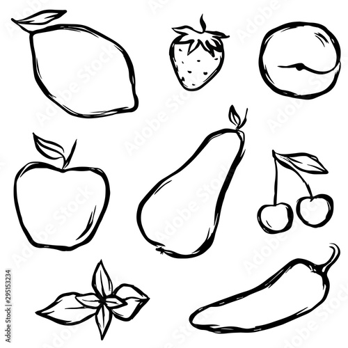 Different fruits in vector. Uneven drawn by hand. 