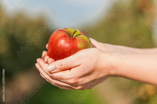 A young european woman is holding a delicious fresh red apple in her hands with apple trees in the background. Agriculture concept.