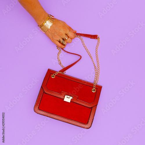 Fashion clutch bag and stylish jewelry. Trends Lady Accessories