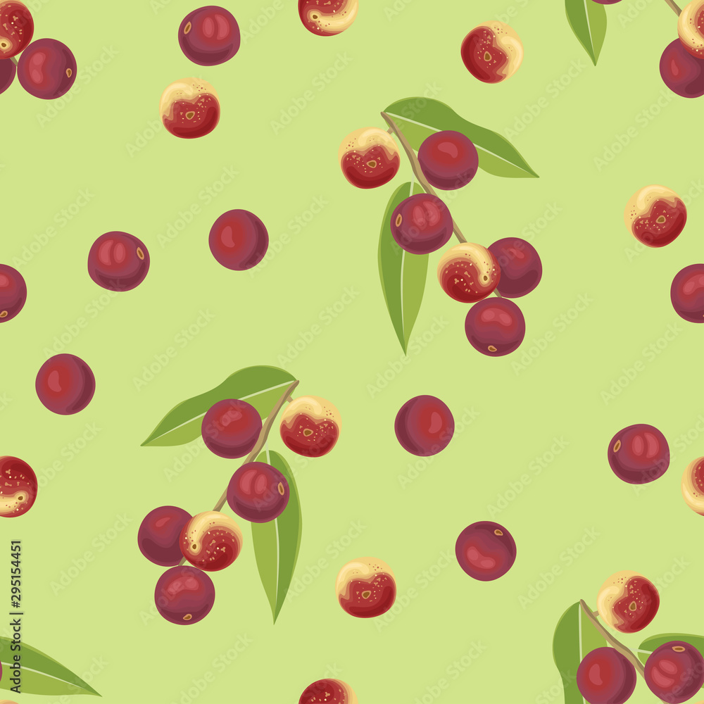 Seamless pattern with Camu camu berry on green background. Vector illustration of branch with red healthy berries Myrciaria dubia and green leaves. Super food in cartoon simple flat style. Seamless pattern with Camu camu berry on green background. Vector illustration of branch with red healthy berries Myrciaria dubia and green leaves. Super food in cartoon simple flat style.