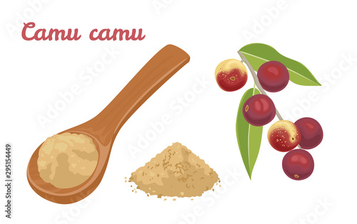 Camu camu berry powder in wooden spoon isolated on white background. Myrciaria dubia branch with green leaves, red healthy berries and heap of powder.