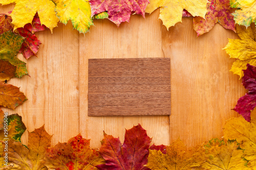 Top view of colorful autumn leaves arranged in beautiful frame. Wooden background and card with copy space.