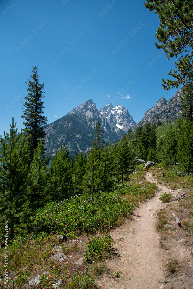 Fototapeta premium Peak of th Grand Teton by Jenny lake