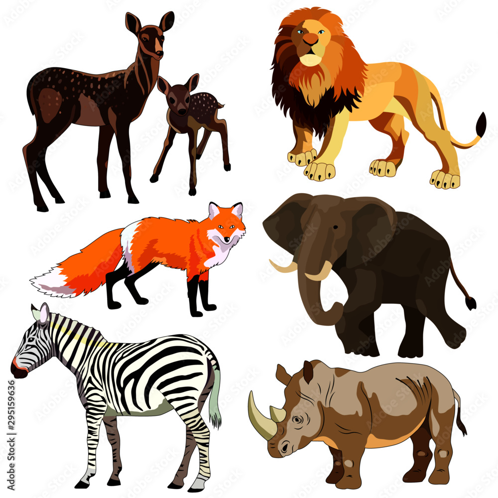 set of drawings, wild animals, vector images set of drawings, wild animals, vector images