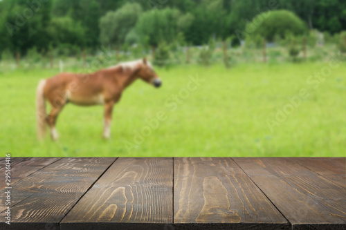 Wooden tabletop and blurred rural background of cows on green field and meadow with grass. Display for meat and milk products. Horsemeat Food of Kazakhs, Tatars, Kyrgyz and Uzbeks. photo