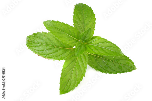 Fresh mint leaves isolated on white background. top view