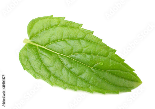 single fresh mint leaf isolated on white background