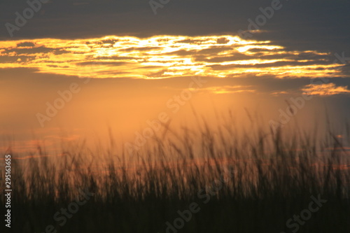 Couché de soleil doré © Estelle R