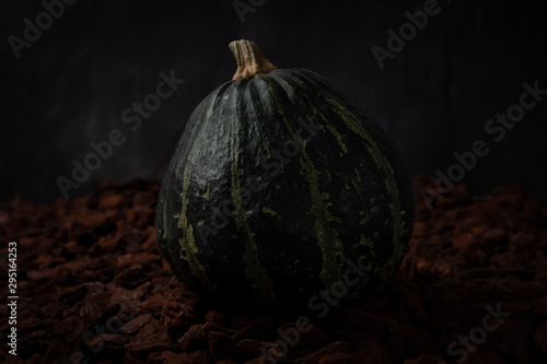 Dark artistic photo of beautiful decorative green pumpkin on wooden ground with black background. Autumn harvest, Thanksgiving or Halloween concept. Low Key food photography. Copy space