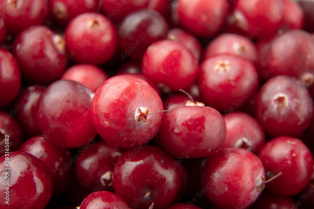 Cranberry / Juicy fresh cranberries / Red cranberries / Pattern of cranberries Cranberry / Juicy fresh cranberries / Red cranberries / Pattern of cranberries