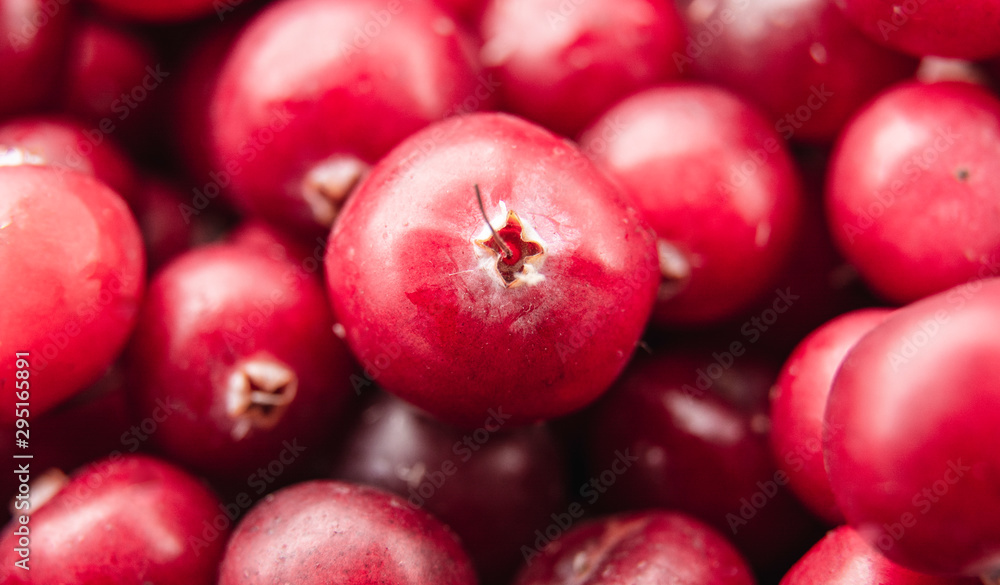 Cranberries close up / rip and fresh berries / Top view / wallpaper design Cranberries close up / rip and fresh berries / Top view / wallpaper design