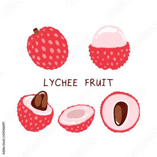 Set Lychee Tropical Fruit. Exotic Summer Food - Vector