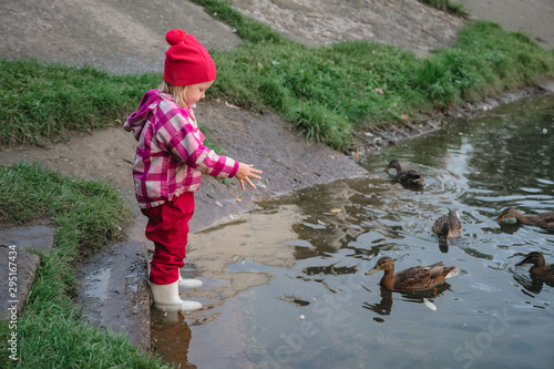 little girl feeds ducks by the water with a shallow depth of field