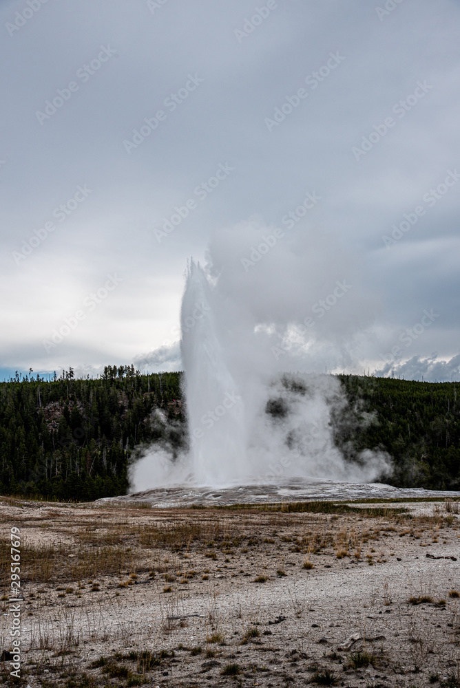 Iconic geyser in Yellowstone, the old Faitful Iconic geyser in Yellowstone, the old Faitful