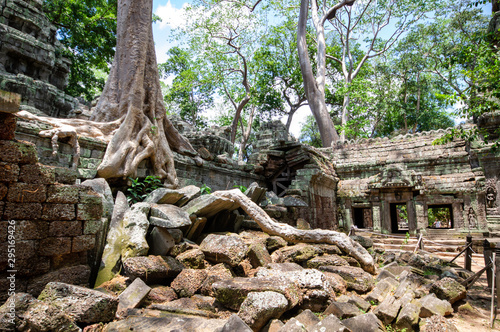 huge tree roots at banteay kdei temple at angkor wat temple complex 