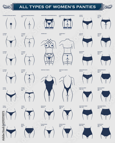All Types of womens panties. The most complete vector collection of lingerie