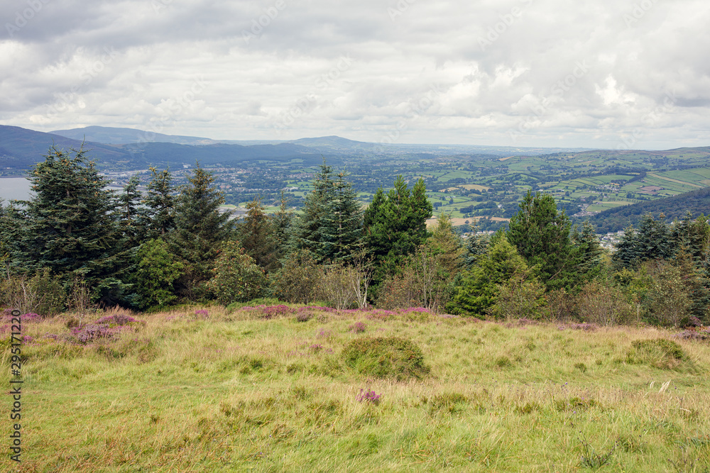  wide angle shoot summer countryside morning,Northern Ireland