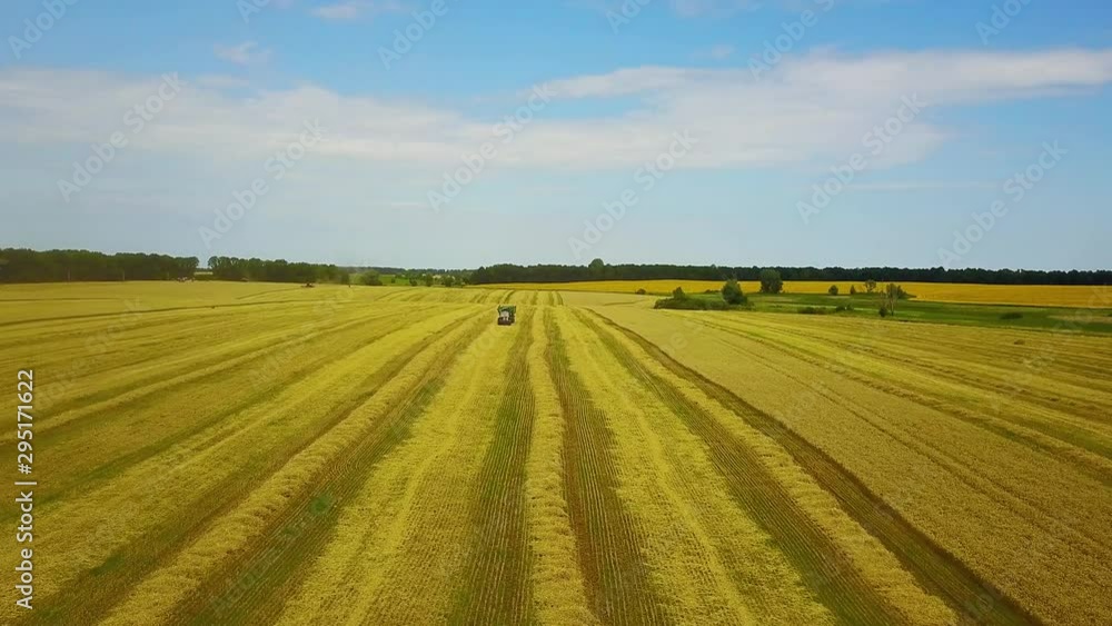 Top view of combine harvester on the chamfered wheat field, aerial footage of a combine harvester, Aerial view of modern combine harvesting wheat on the field, Flying directly above combine Top view of combine harvester on the chamfered wheat field, aerial footage of a combine harvester, Aerial view of modern combine harvesting wheat on the field, Flying directly above combine