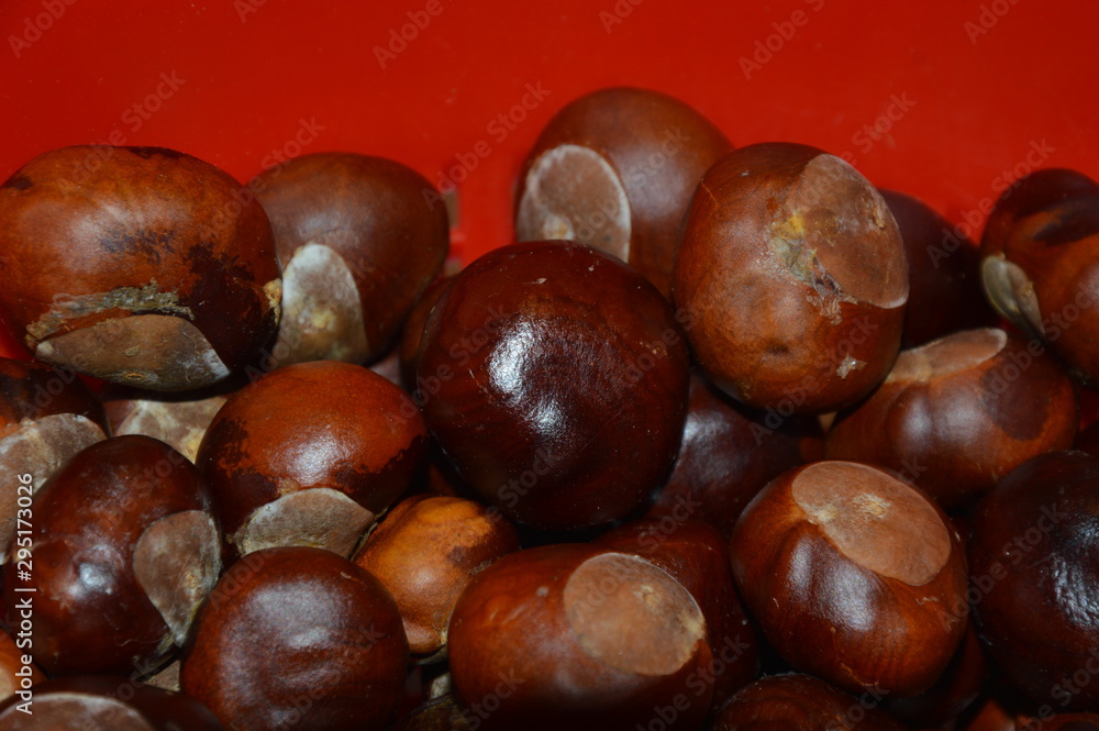 Fototapeta premium The heap of beautiful brown cheznuts 
