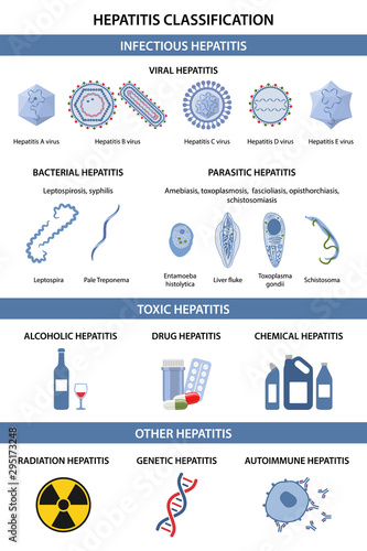 Hepatitis classification. Types of viral hepatitis. Bacterial, parasitic, toxic, alcoholic, infectious, autoimmune, radiation, drug hepatitis. Vector illustration in flat style over white background