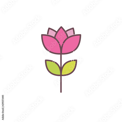 Isolated pink flower icon vector design