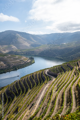 A portrait view of the River Duoro snaking through the majestic Douro Valley in Portugal, the terraced valley walls filled with vineyards
