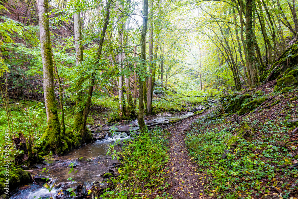 Obraz premium Brohlbachtal an der Mosel bei Treiskarden