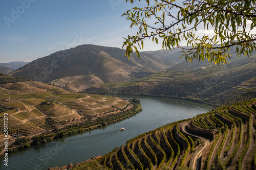 The River Duoro snaking through the majestic Douro Valley in Portugal, the terraced valley walls filled with vineyards