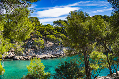 Wonderful viewpoint from the forest, Calanques National Park near Cassis fishing village, Provence © Leonid