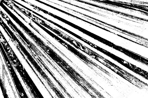 Distressed overlay texture of palm leaf, striped or folded diagonal structure. Grunge background. One color graphic resource.