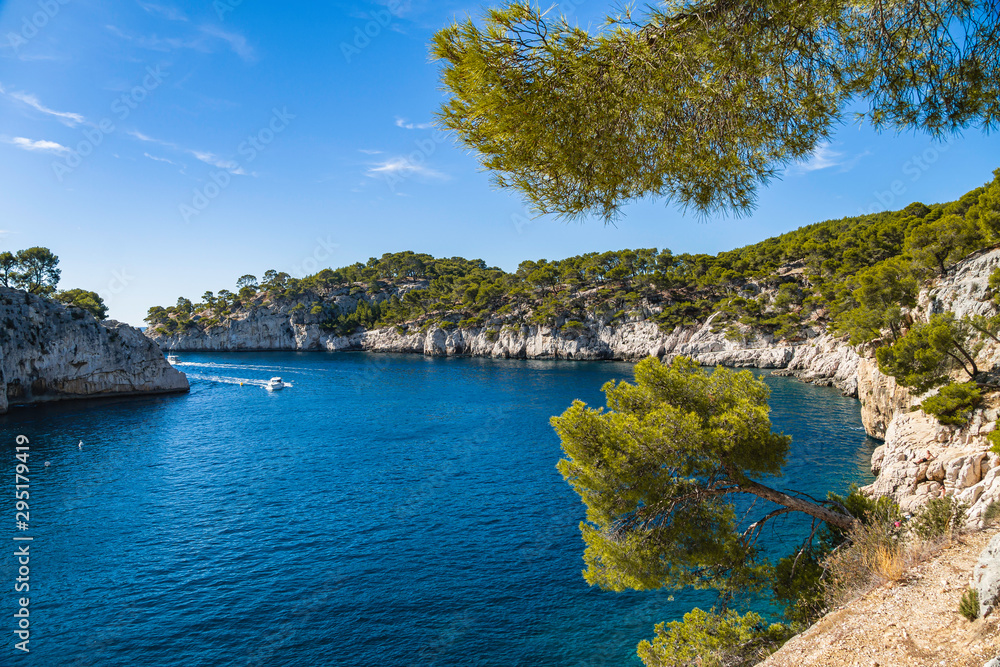 Panoramic view of Calanque de Port Pin in Calanques National Park, Provence, France.