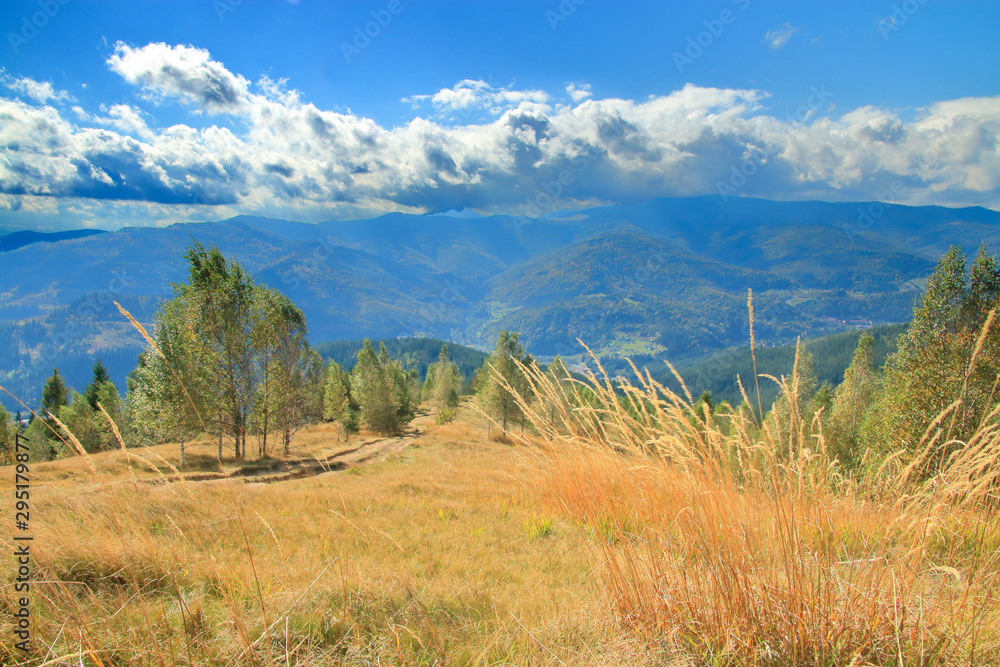 Obraz premium Autumn in the highlands.