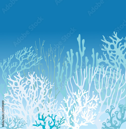 Coral Bleaching under water