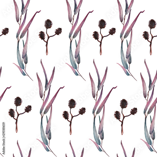 Watercolor seamless pattern with eucalyptus and alder branches on white background. Hand painted floral pattern. © Tatiana