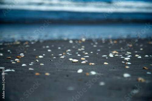 Sea Shells On Beach Sand With Blury Waves