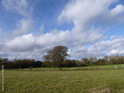 wilde, weite natur im herbst