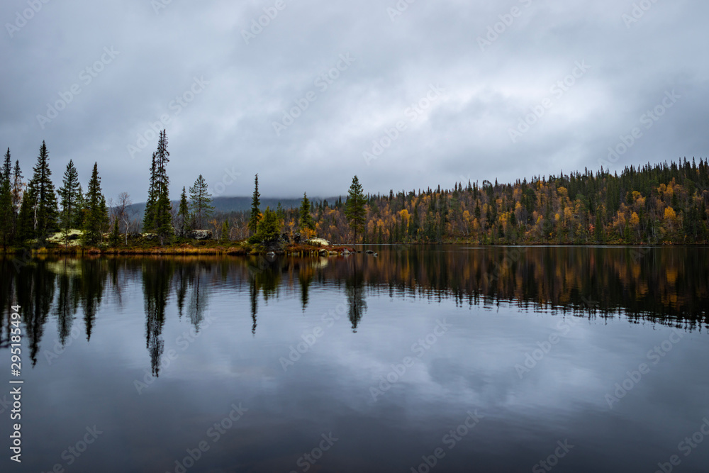 Fototapeta premium reflection of trees in water
